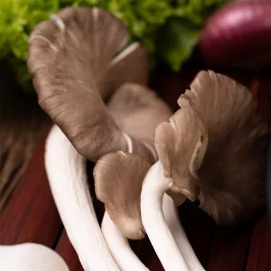 Mushroom Cultivation
