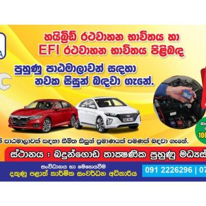 Hybrid and EFI training